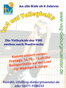 Handzettel-Volleykids-2013